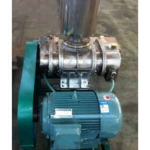 不銹鋼羅茨風(fēng)機(jī)